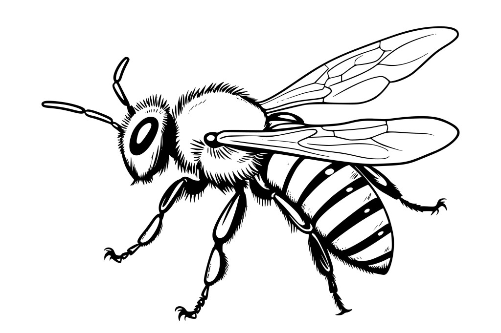Odkrywanie świata pszczół: Zajęcia edukacyjno-terapeutyczne dla uczniów ze spektrum autyzmu